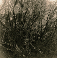 https://iandykmans.photos/files/gimgs/th-10_sintra054.jpg