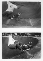 https://iandykmans.photos/files/gimgs/th-21_16_pigeon.jpg